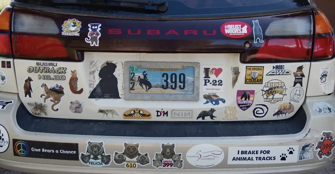 The back of a Subaru covered in bear stickers with a 399 license plate